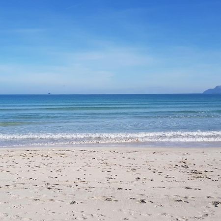 Ideal Property Mallorca - Mary Port de Alcudia  Bagian luar foto